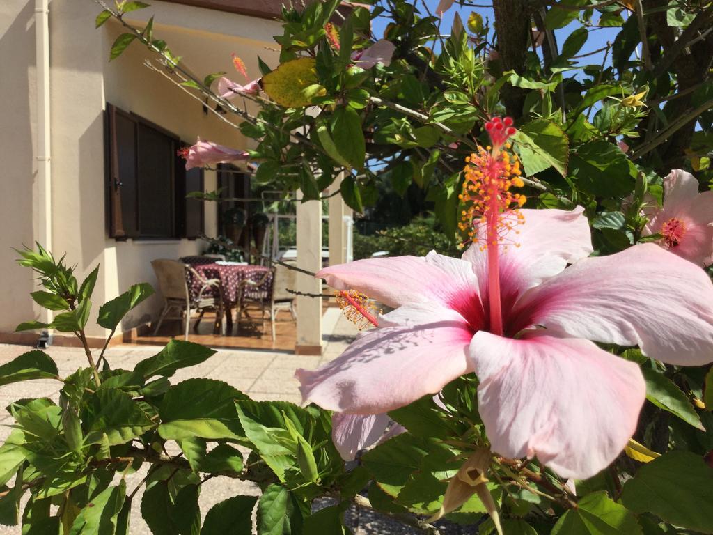 Villa Ro Porto Columbu - Perd'E Sali 外观 照片
