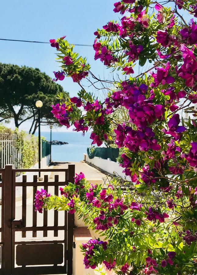 Villa Ro Porto Columbu - Perd'E Sali 外观 照片